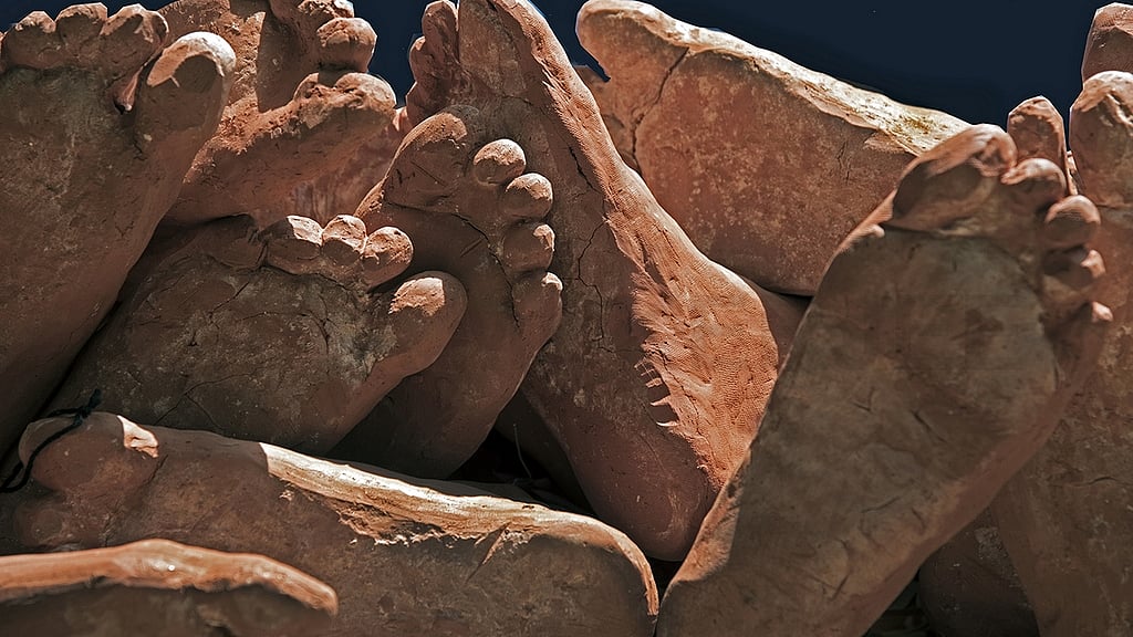 The online exhibition is on view from July 26-August 8 on the website of the India International Centre