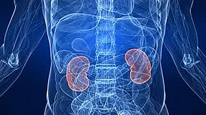 Covid-hit people must keep kidney health in check: Experts