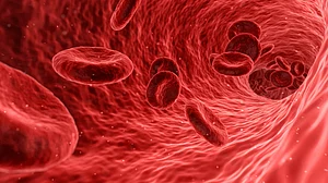 Novel autoantibody sparks inflammation, blood clots in Covid patients