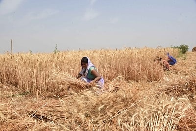 During pandemic, only 20 per cent of farmers under PM-Kisan had access to formal credit