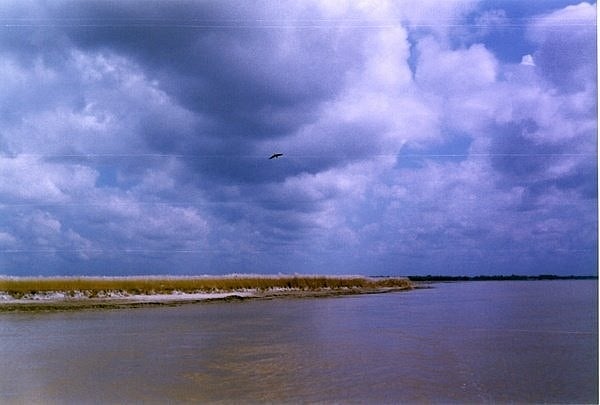 Ganga is Covid-free: Scientists