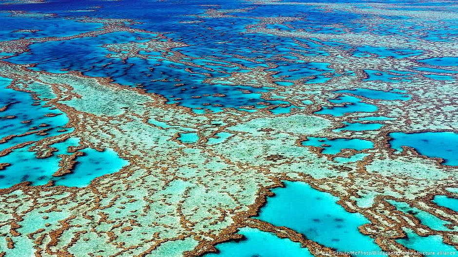 Great Barrier Reef (Photo: DW)