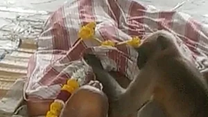 WATCH: Langur 'participates' in man's final rites, family astonished