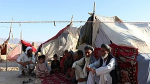 Displaced Afghans flee to large cities for safety: UN