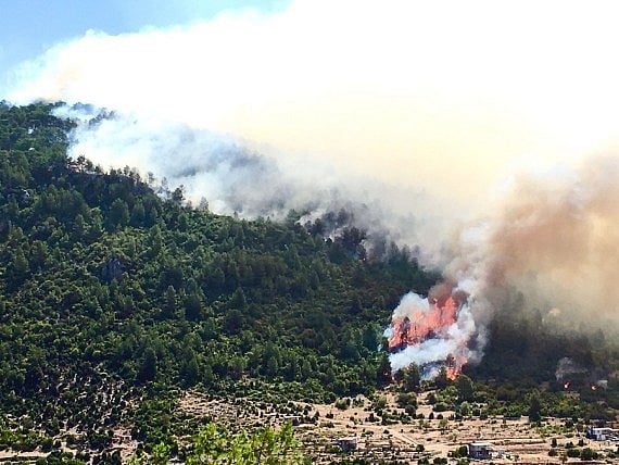 Wildfire engulfs power plant in Turkey, prompts evacuation