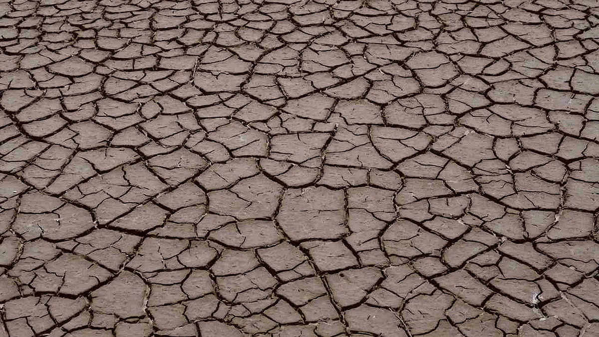 Droughts to increase in India, South Asia: IPCC report