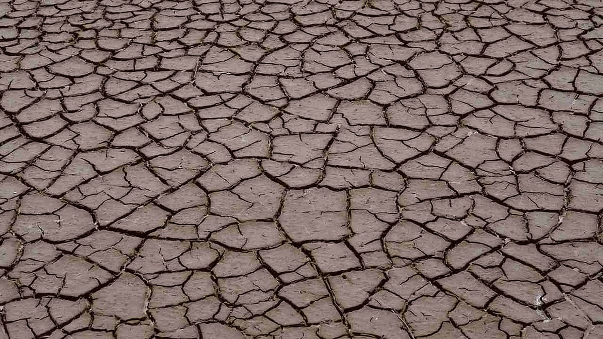 Droughts to increase in India, South Asia: IPCC report
