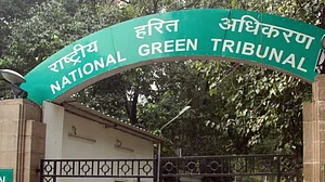 NGT asks authorities to look into sewage dumping on south Delhi roads