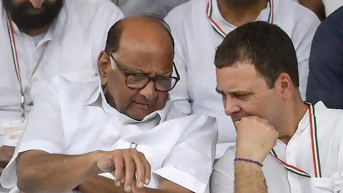 Sharad Pawar and Rahul Gandhi (photo: National Herald archives)