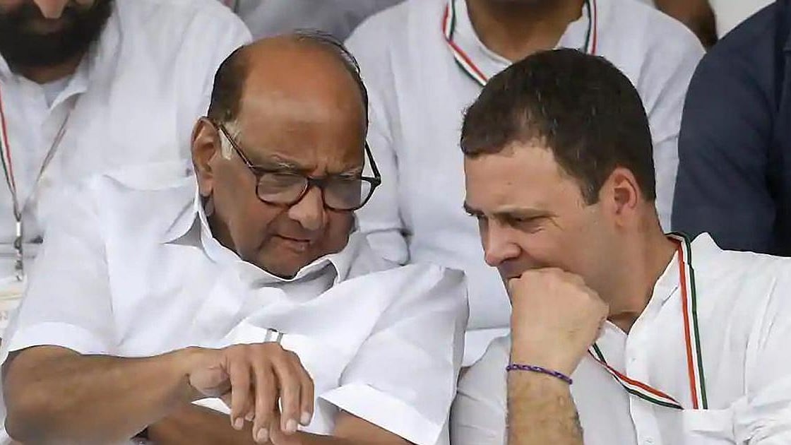 Sharad Pawar and Rahul Gandhi