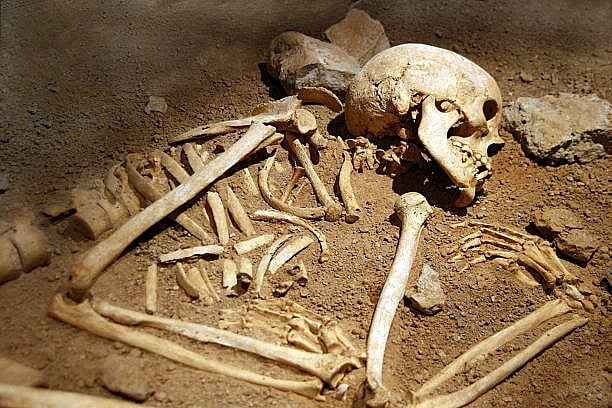 Skeletons of 3 missing girls found in UP forest