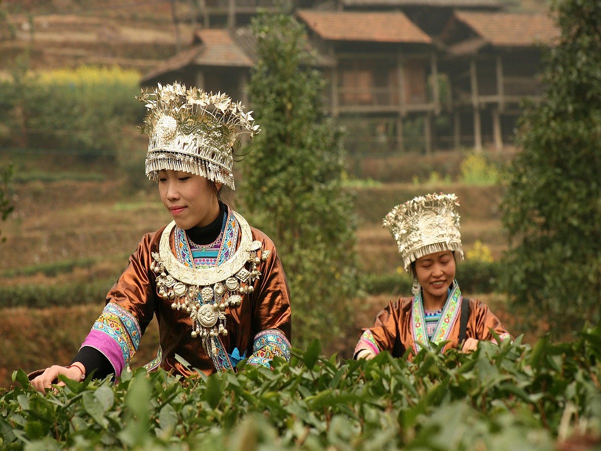 680 thriving Chinese villages along Indian borders 'cause of concern': Expert