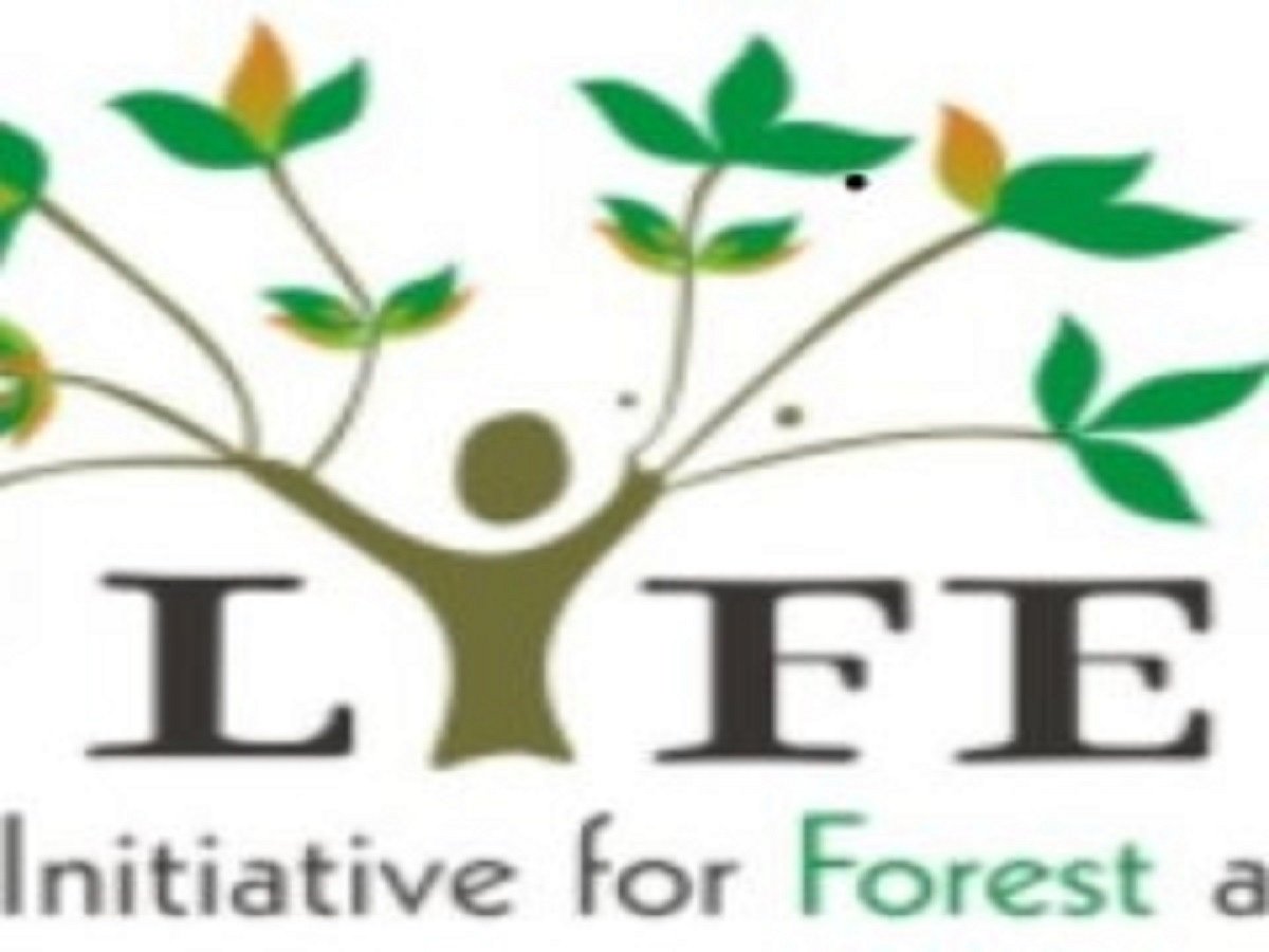 India's legal eagle LIFE wins Rights Livelihood Award 2021
