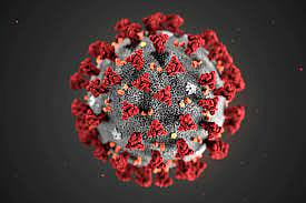 There's no need to panic about the new C.1.2 variant found in South Africa, according to a virologist
