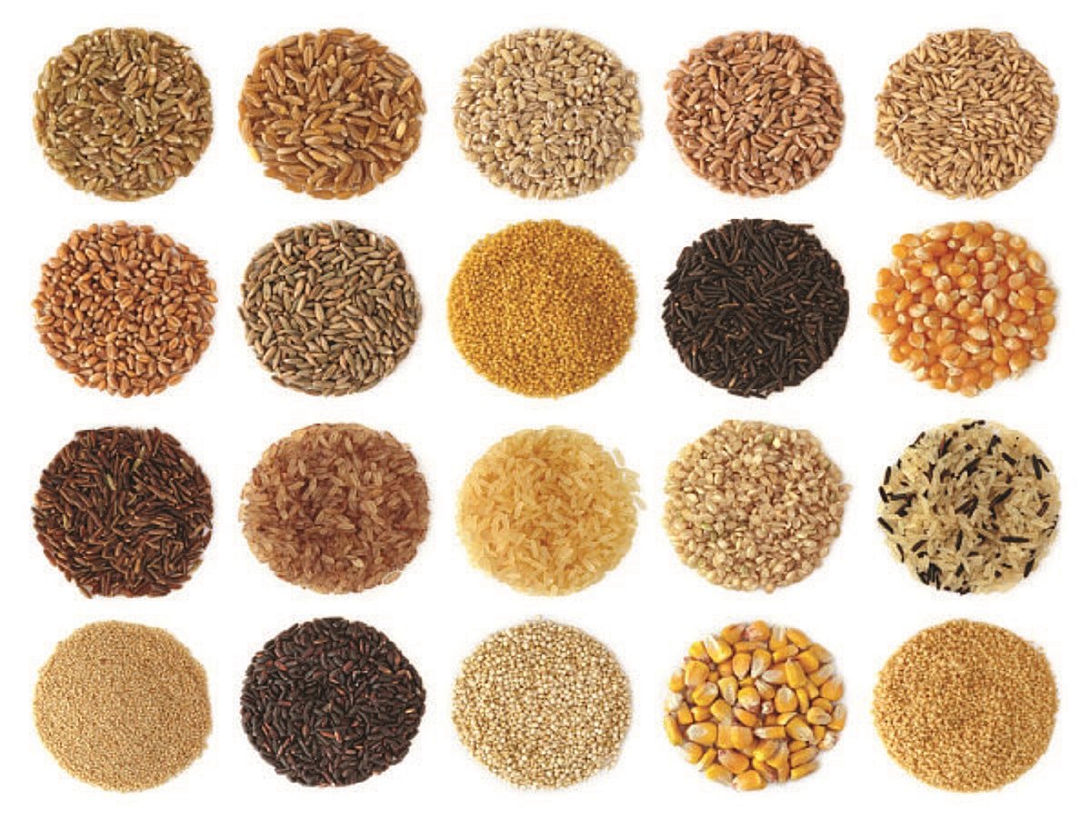Food Katha: A for Agriculture, A for Ann 