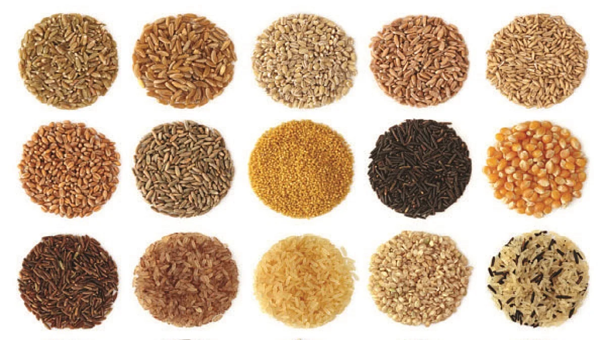 Food Katha: A for Agriculture, A for Ann