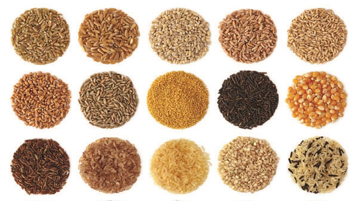 Food Katha: A for Agriculture, A for Ann