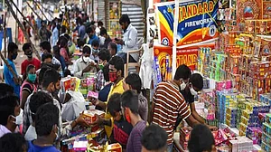 Haryana govt imposes ban on firecrackers in 14 NCR districts