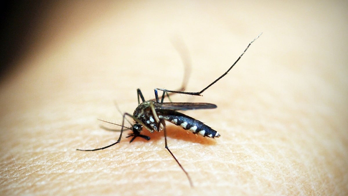 Representative Image (Photo Courtesy: IANS)