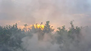 Citizens' campaign for information about 'bad air' days