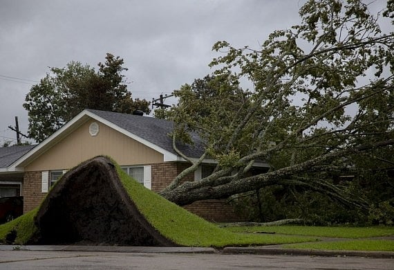 Hurricane Ida: 13 dead in US' Louisiana