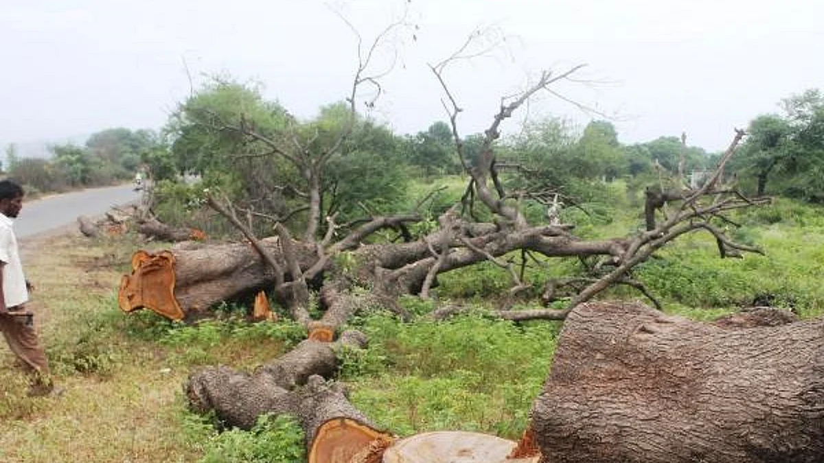 Representative Image (Photo Courtesy: Social Media)