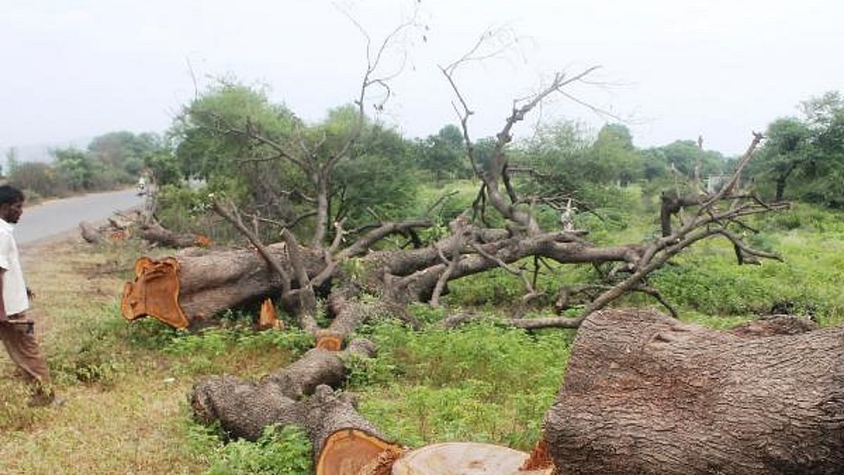 Representative Image (Photo Courtesy: Social Media)