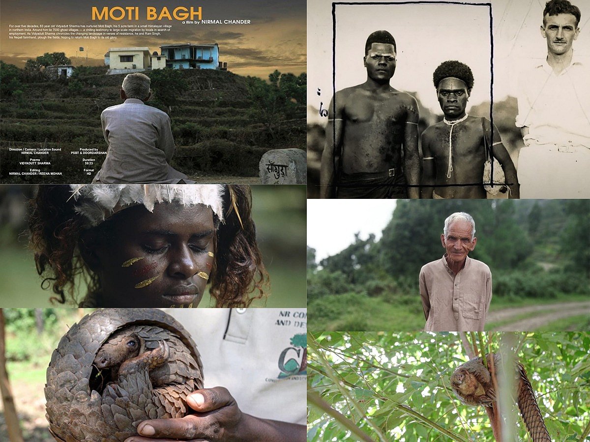 Oscar-nominated 'Moti Bagh' wins big at All Living Things Environmental Film Festival