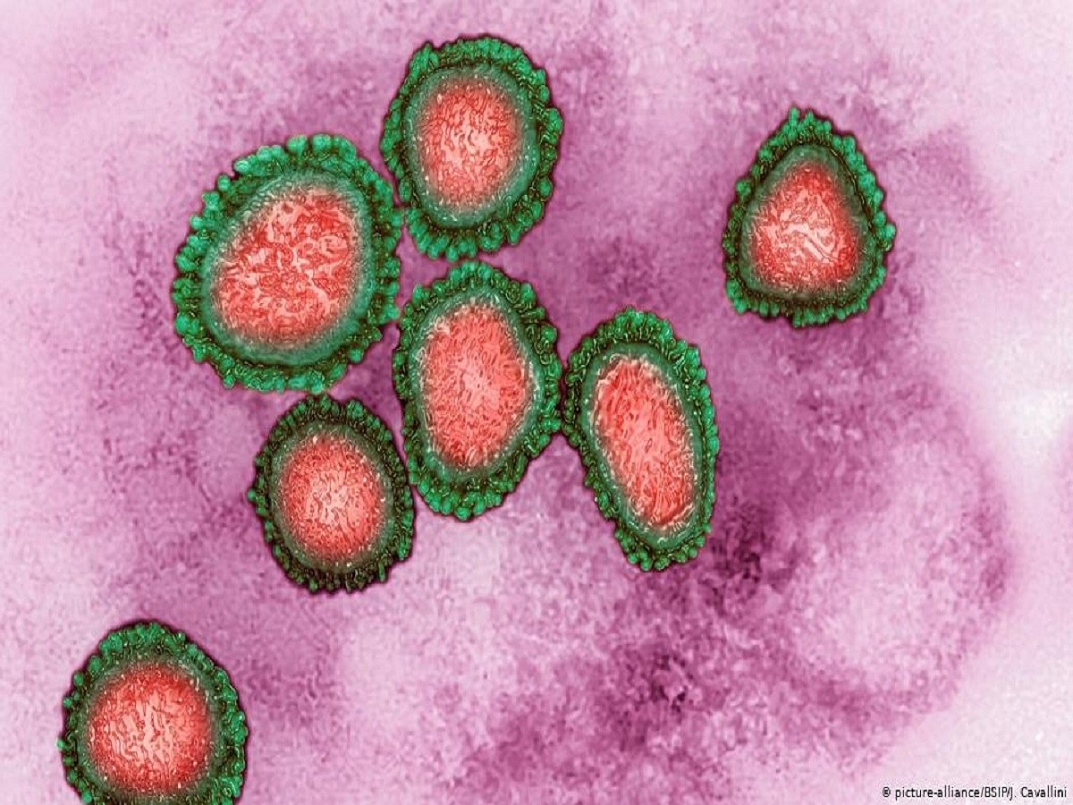 New antiviral compound blocks COVID virus from entering cells: Study