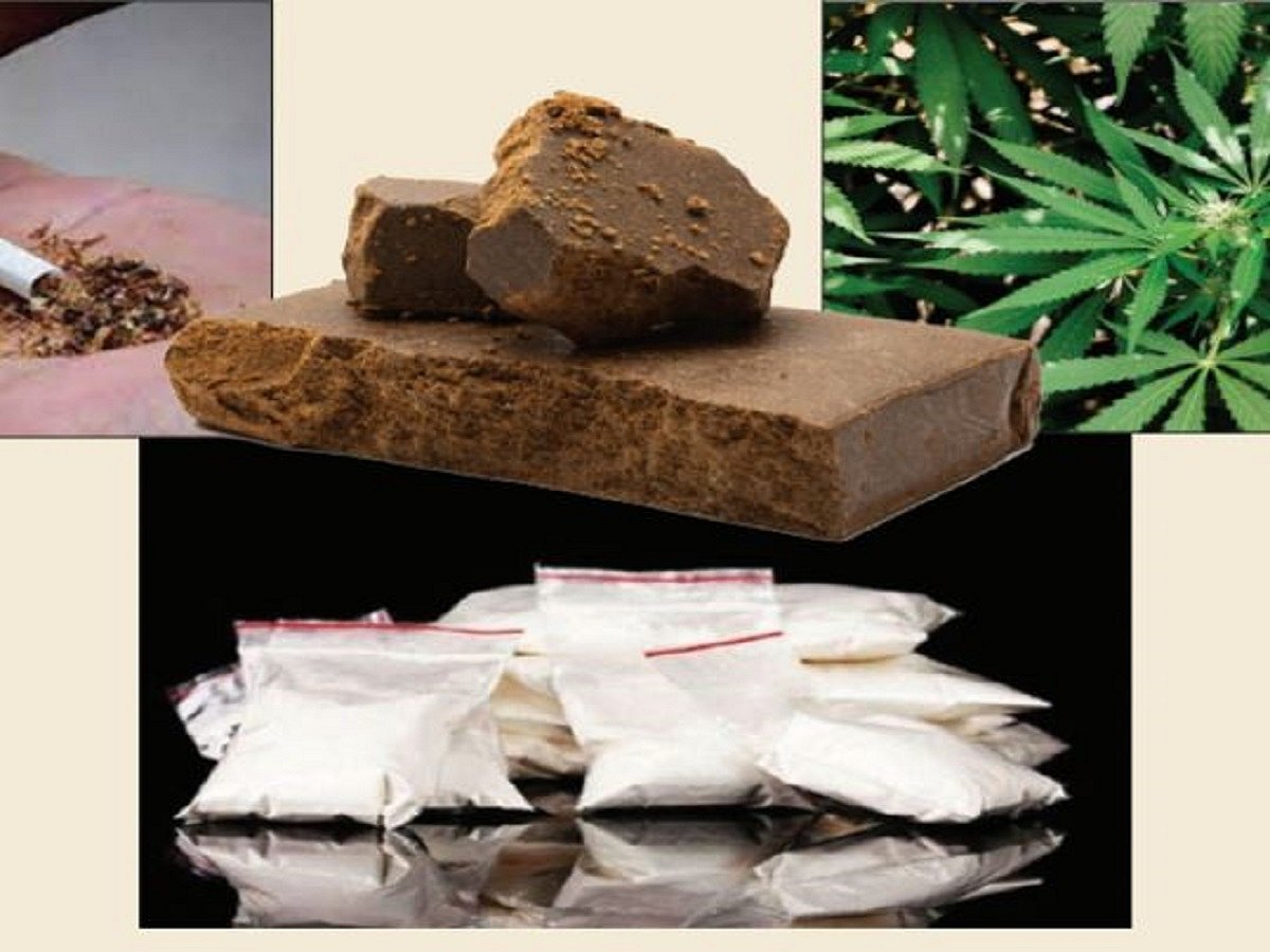 All about weed!