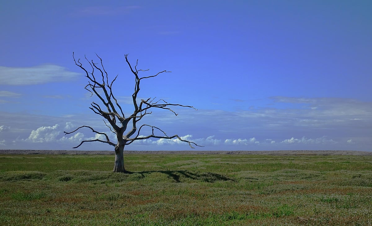 Expert committee formed for sustainable climate finance