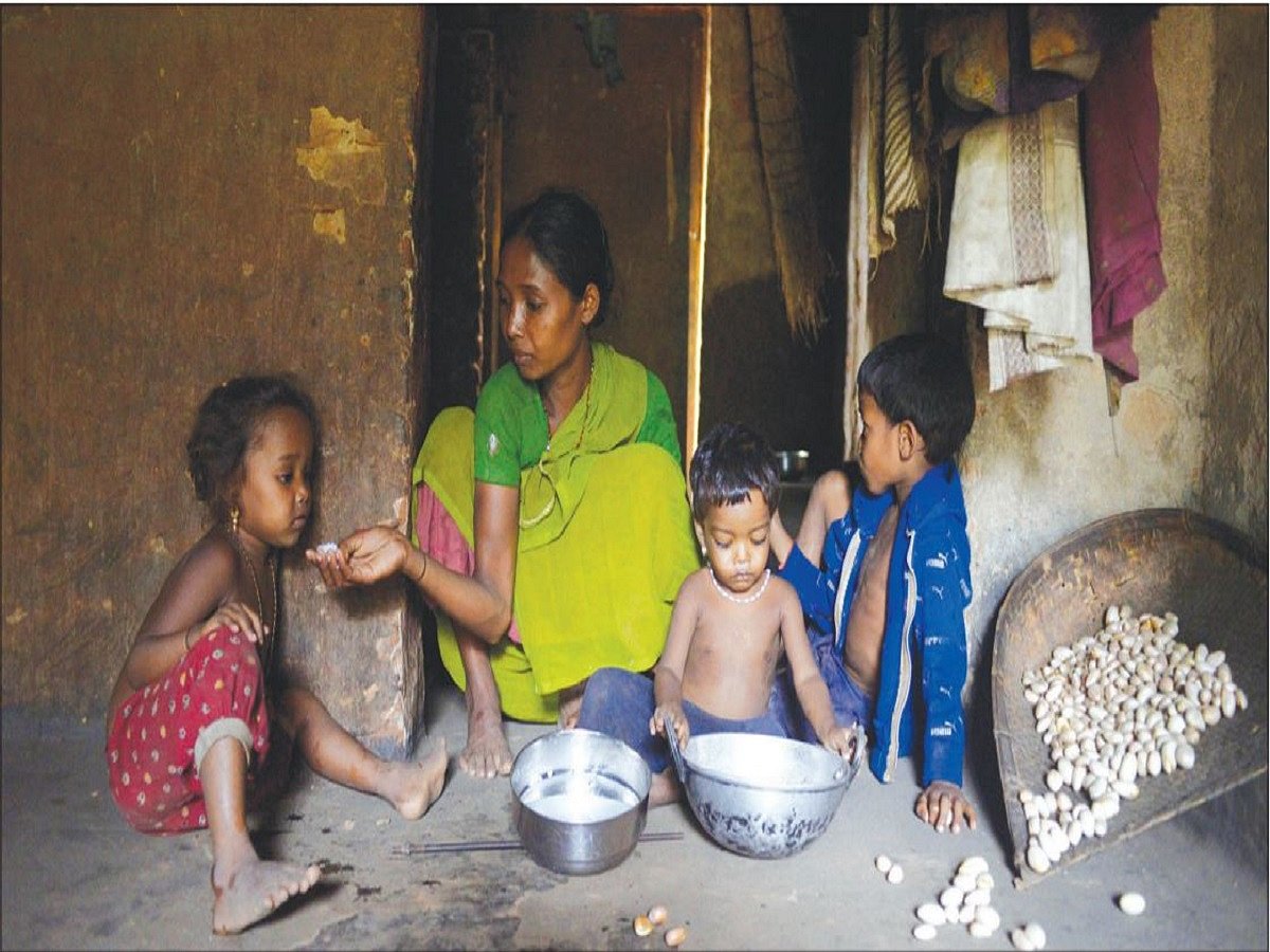 Healthy food not affordable for over 40% population; resilient agriculture and supply chain could be answer