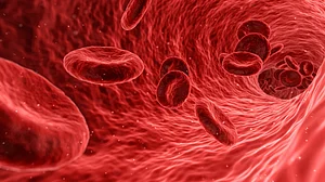 Growing health inequalities post-pandemic spur infectious diseases