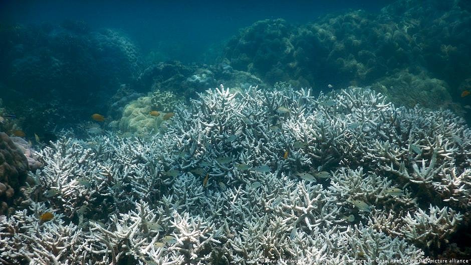 Initiate study to evaluate climate change role in aggravating water scarcity, Par panel tells govt