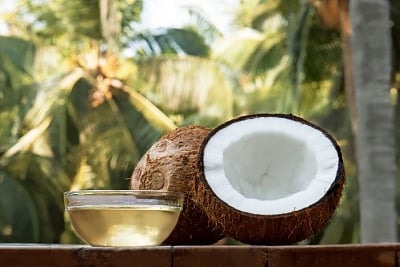 Belgian scientists claim breakthrough in cloning coconut trees