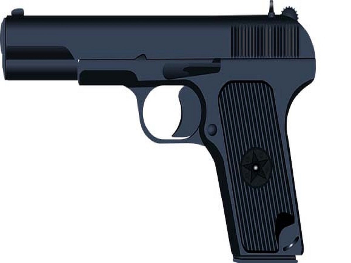 Priest shot dead in Bihar's Darbhanga, another injured