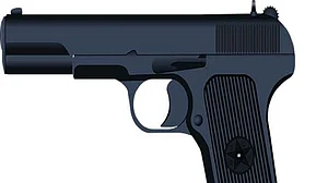 Priest shot dead in Bihar's Darbhanga, another injured