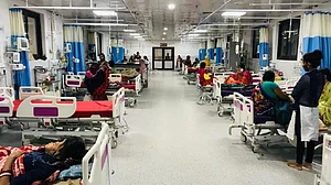 Cases of dengue, Japanese encephalitis increasing in Patna