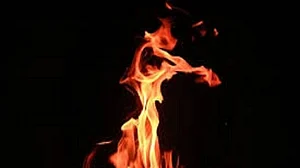 Massive blaze engulfs cloth godown in Delhi's Okhla
