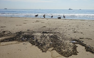 'Massive oil spill off California coast a potential ecological disaster'