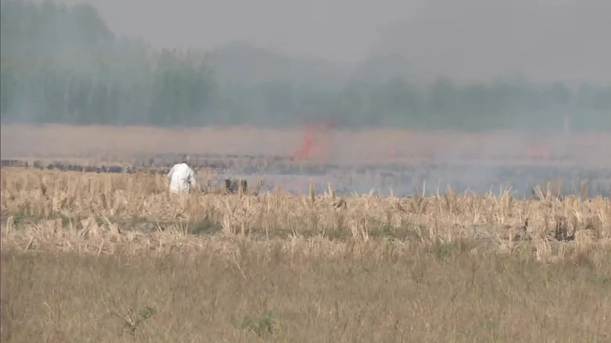 Stubble burning: Devastating effects, solutions, and possible outcomes