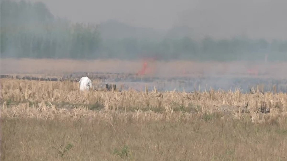 Stubble burning: Devastating effects, solutions, and possible outcomes