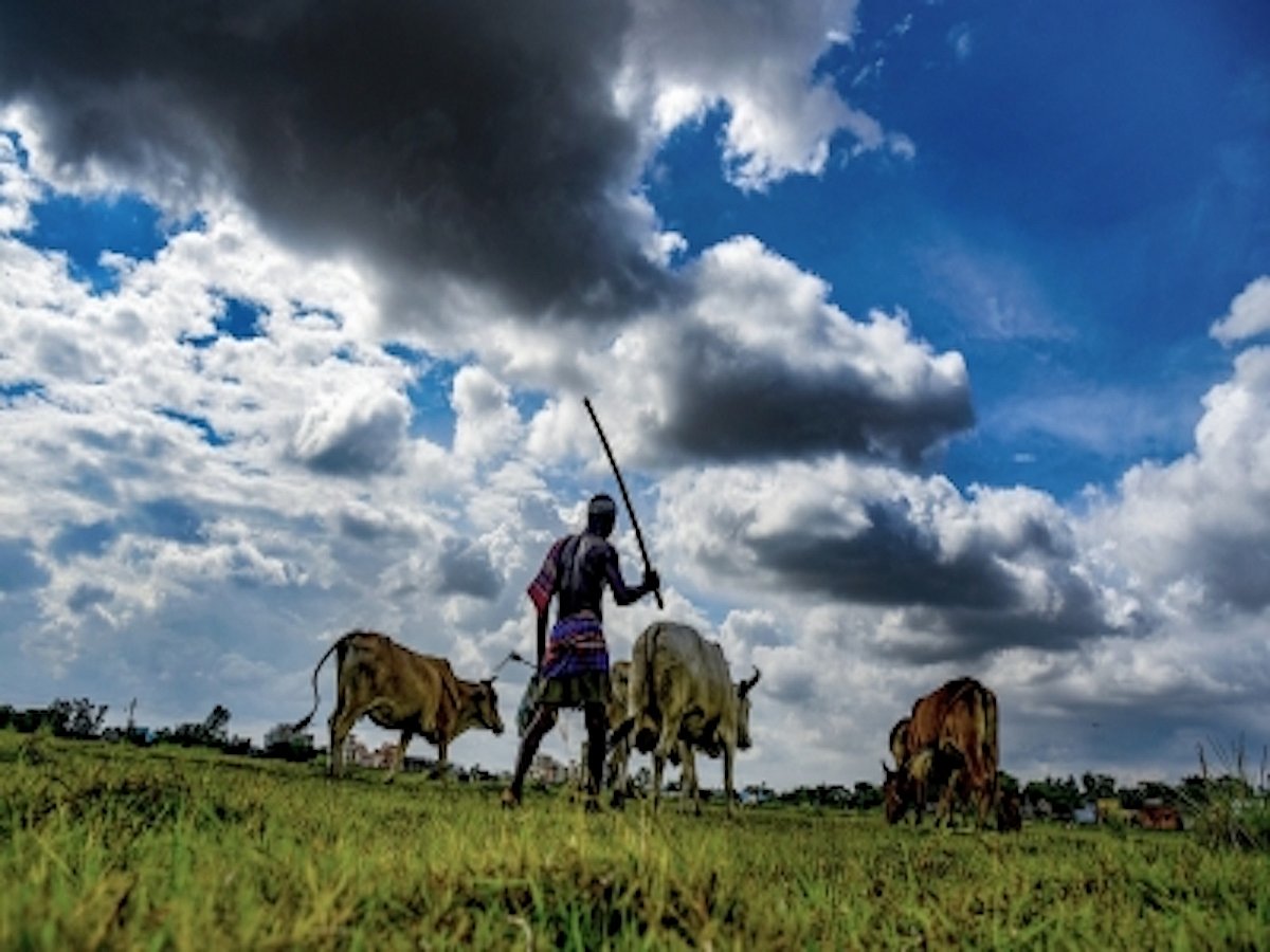 Farmers' association asks states to undertake agri-market reforms