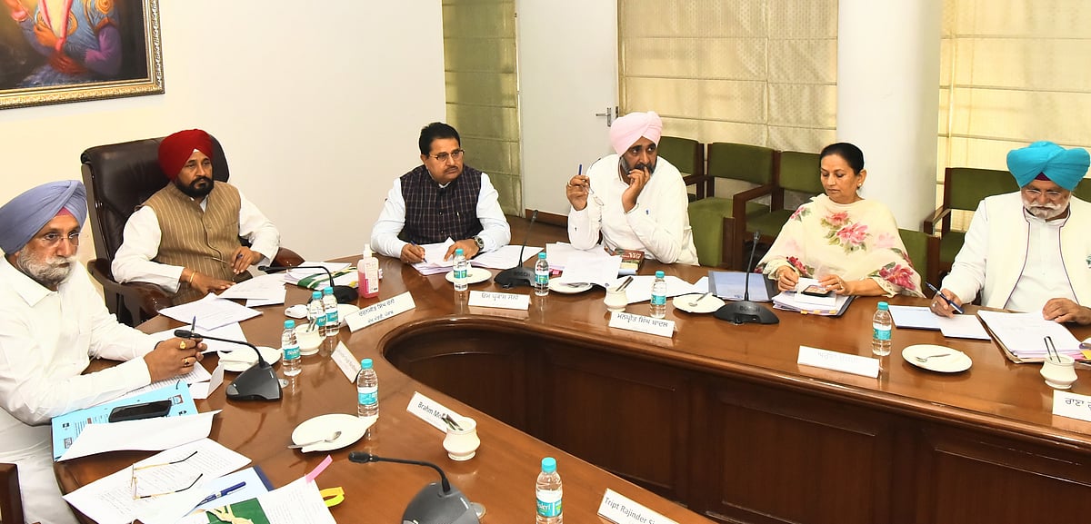 Domestic power tariff cut by Rs 3 per unit in Punjab; 11 per cent increase in DA for state govt employees 