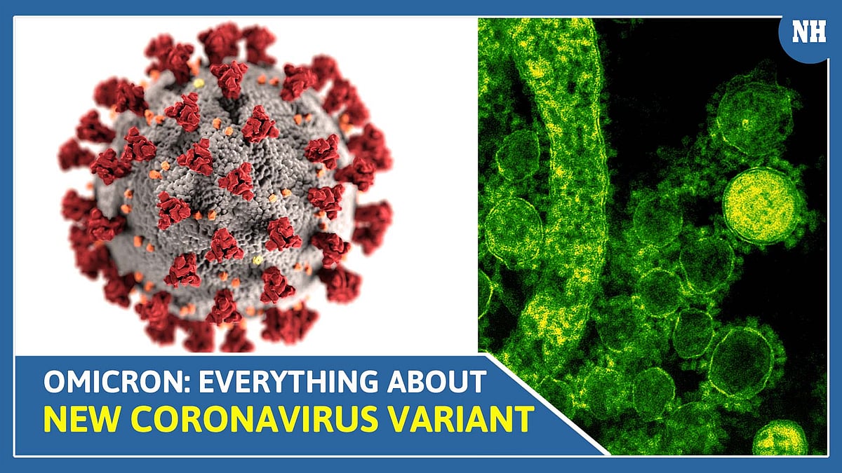 Omicron: Everything about new coronavirus variant 