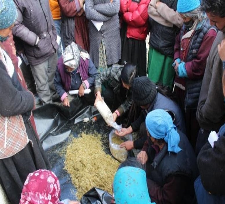 Mushroom cultivation profitable for farmers in Ladakh, beneficial for health too