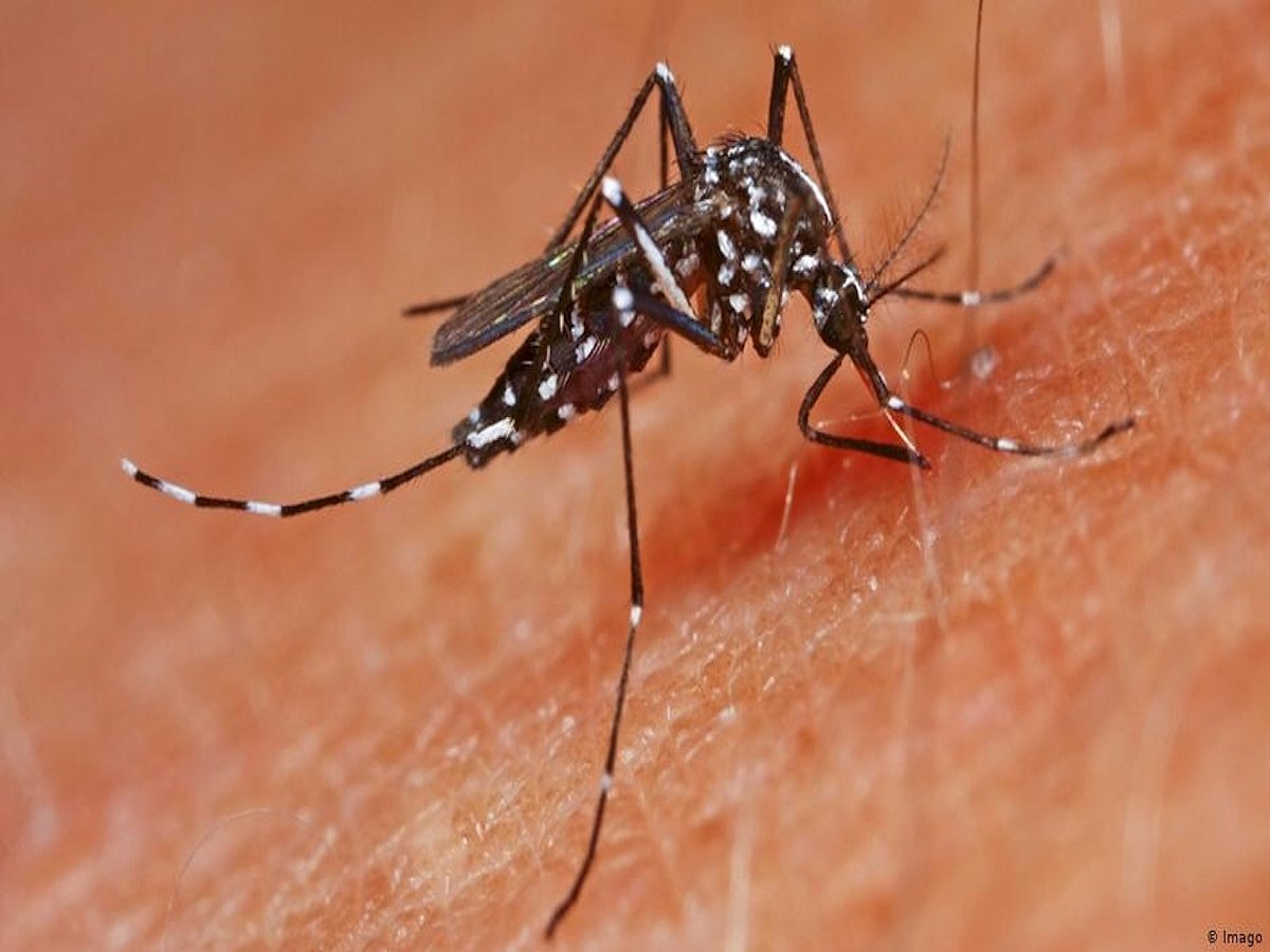 Ten cases of Zika virus confirmed in Kanpur