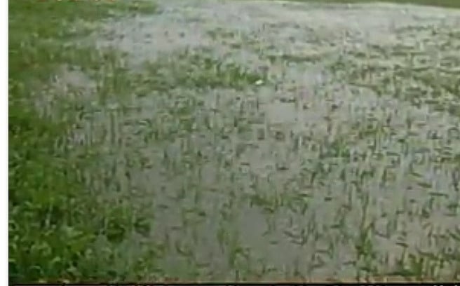Karnataka rain losses: 24 dead, 5L hectare of crops destroyed