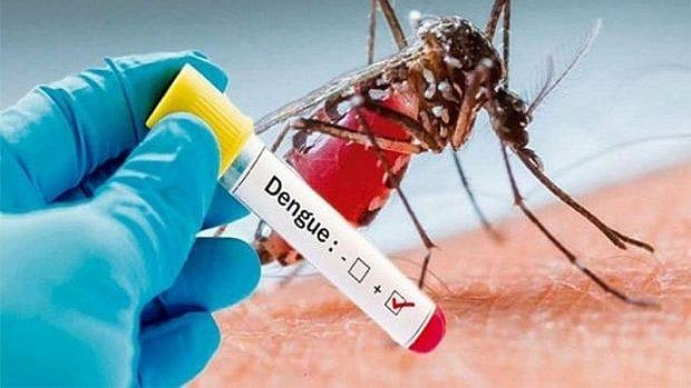 Central teams sent to 9 states, UTs reporting high number of dengue cases