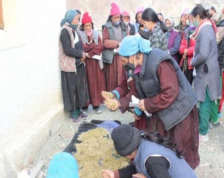 Benefits of mushroom cultivation enthuse women and farmers in Ladakh 